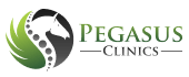 Pegasus logo